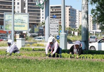 Bu Yaz Osmangazi'de Çiçek Kokuları Eksik Olmayacak