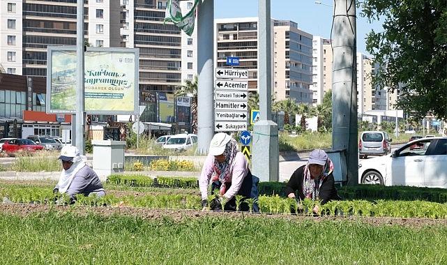 Bu Yaz Osmangazi'de Çiçek Kokuları Eksik Olmayacak