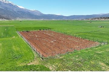 Büyükşehir Belediyesi'nden tarımsal sulamaya büyük destek