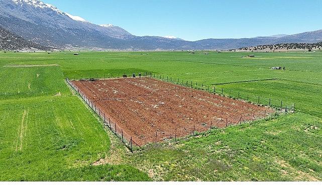 Büyükşehir Belediyesi'nden tarımsal sulamaya büyük destek