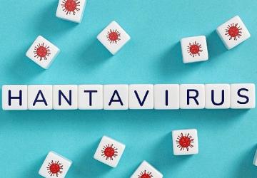 Hantavirüsün insandan insana yayılım riski düşük