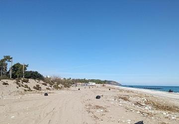 Sahillerde temizlik çalışması