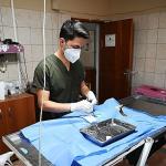 Kemer Belediyesi “Can dostlarına" sahip çıkıyor