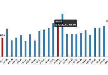 Konut Satış İstatistikleri, Kasım 2025