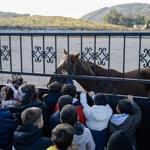 Çocuklara hayvan sevgisi kazandırılıyor