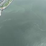 İzmir Körfezi'nde 10. kez dış kaynaklı kirlilik tespit edildi