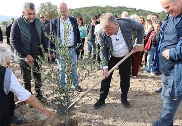 Atatürk'ün Vasiyeti Urla'da Hayata Geçti: Zeytin Koleksiyon Bahçesi'nde İlk Fidan Dikimi
