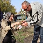 11 Kasım Ağaçlandırma Günü'nde Fidan Dağıtımı ve Fidan Dikimi