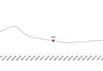 Yurt İçi Üretici Fiyat Endeksi, Ocak 2026