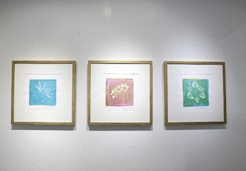 “Işığın İzi" sergisi Nilüfer'de