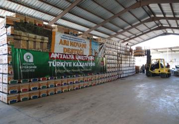 Antalya Büyükşehir Belediyesi’nden Arıcılığa Güçlü Destek: 1.200 Kovan Dağıtıldı