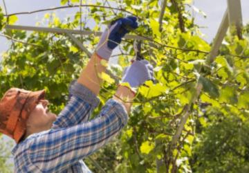 Adıyaman’da Alet, Ekipman ve Makine Dağıtım Töreni düzenlenecek