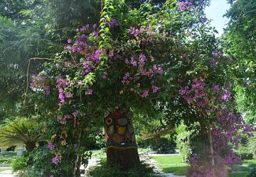 Ege Üniversitesinin endemik tür cenneti: “Botanik Bahçesi