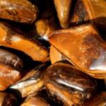 Güç, cesaret ve koruyuculuk sembolü: Kaplan gözü taşı nedir, hangi anlamlarla ilişkilendiriliyor?