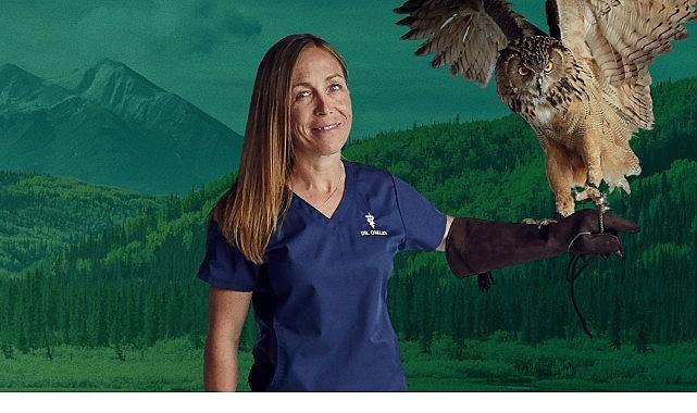 6 Bölümden Oluşan 'Yukon Veterineri Özel', 5. Sezonu İle 4-11-18 Şubat Çarşamba Saat 20.00'de İki Bölüm Art Arda National Geographic WILD Ekranlarında!