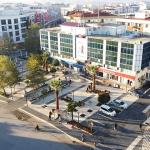 Menderes'te Sakız Ağacı Projesi