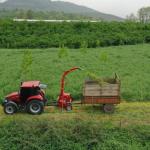 Ordu’da Tarım ve Hayvancılıkta Yeni Dönem