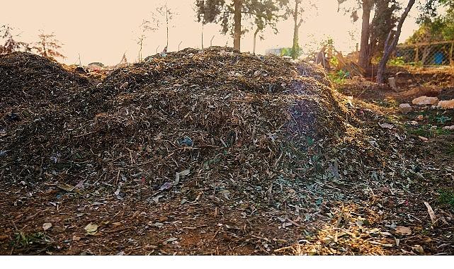 Didim Belediyesi'nden Örnek Proje: Pazar Atıkları Komposta Dönüşüyor