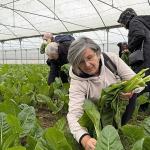 İzmit Saygınlar Kulübü 1 yaşında