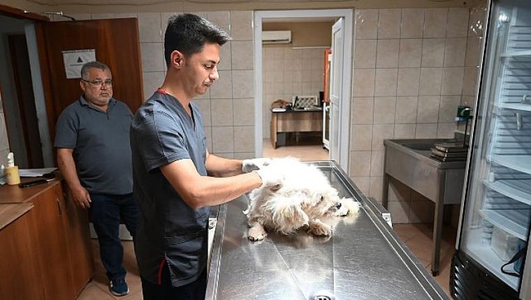 Kemer Belediyesi “Can dostlarına" sahip çıkıyor