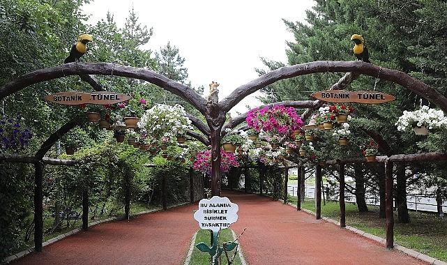 Keçiören'de Modern Serada Üretilen Çiçekler İlçeyi Süslüyor