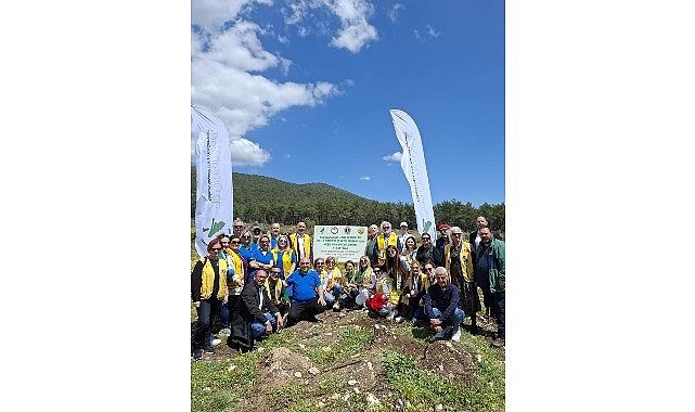 “Yeşil Adım" Projesiyle 11 Bin 581 Fidan hayat buldu.