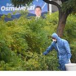 Osmangazi'de Şehrin Sağlığı İçin Kollar Sıvandı