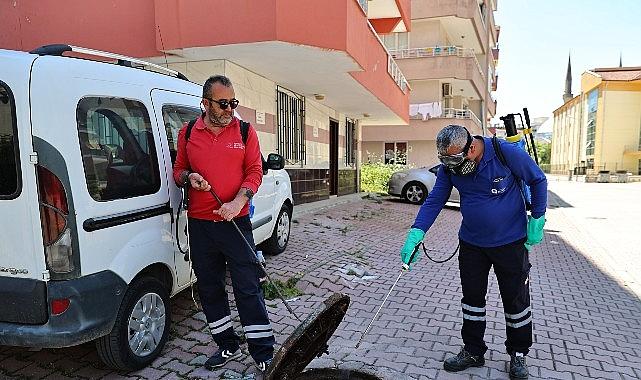 Büyükşehir'den kent genelinde vektörle mücadele
