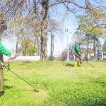 Canik'te Parklar Yaza Hazırlanıyor