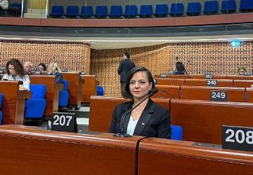 Başkan Kınay, Strazburg'da Avrupa Konseyi Genel Kurulu'na Katıldı