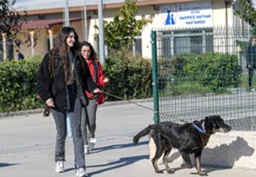 İzmirli hayvansever Çörekçi'nin emanetlerine İzmir Büyükşehir Belediyesi sahip çıktı