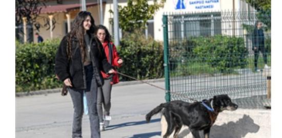 İzmirli hayvansever Çörekçi'nin emanetlerine İzmir Büyükşehir Belediyesi sahip çıktı
