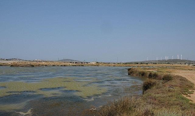 Egeli Akademisyen AB Destekli “HALO-FORCE" Projesinde yer aldı