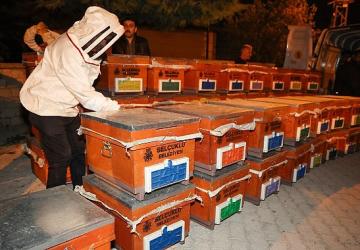Selçuklu Belediyesi Arılı Kovan Desteği Projesi'ni 4. Kez Düzenledi