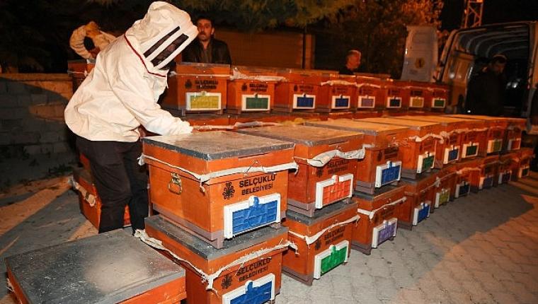 Selçuklu Belediyesi Arılı Kovan Desteği Projesi'ni 4. Kez Düzenledi