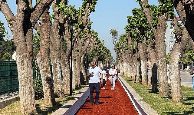 Başkan Çerçioğlu'nun Öncülüğünde Aydın'ın Sosyal Yaşam Alanları Yenileniyor