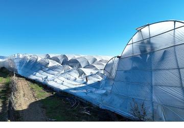 Büyükşehir Belediyesi seraları zarar gören çiftçinin yanında