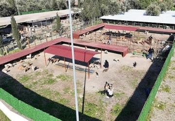 Vodafone ve Huawei, 5G Teknolojisiyle Fiber Hızını 81 İl 922 İlçede Evlere Taşıyacak