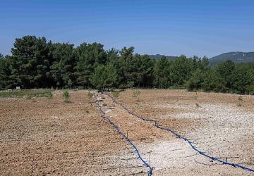 Bornova'da atıl topraklar hayat buluyor