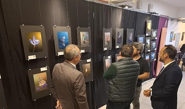 Kemer'de yıl sonu resim sergisi