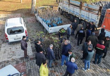 Büyükşehir’den Üreticilere Binlerce Fidan Desteği