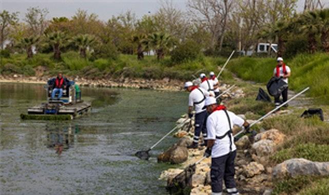 Çakalburnu Lagünü'nden Körfez'e yayılan yosunlara yoğun müdahale