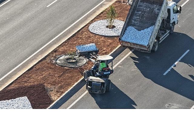 Başkan Çerçioğlu'ndan Acarlar–Şehir Hastanesi Yolunda Peyzaj Düzenlemesi
