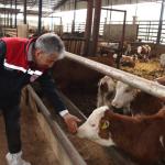 Daire Başkanı Melikşah Taşkın’dan hastalıktan ari işletme incelemesi