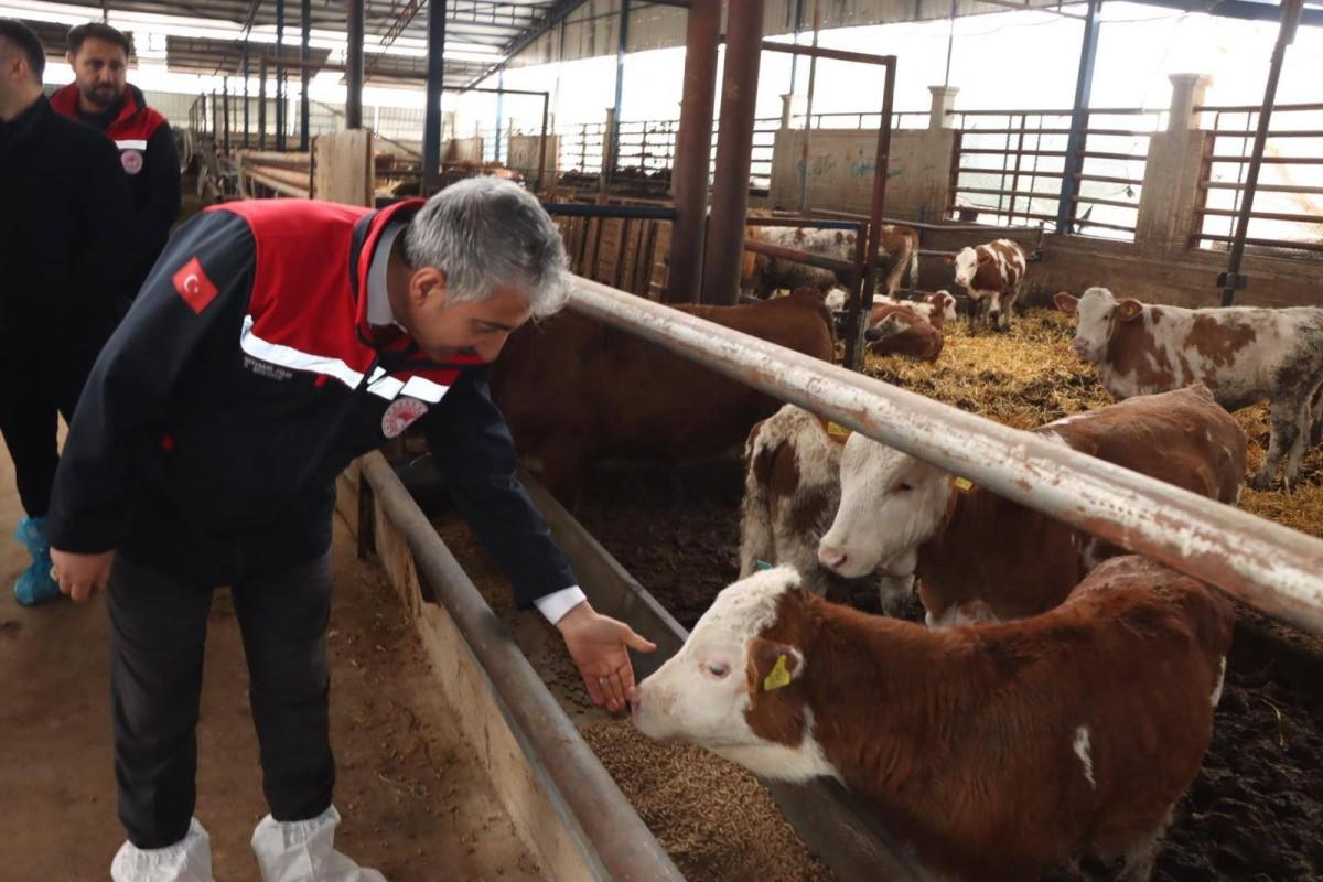 Daire Başkanı Melikşah Taşkın’dan hastalıktan ari işletme incelemesi