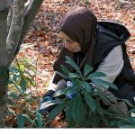 Kuzuyayla'da mantarların gizemli dünyası keşfedildi