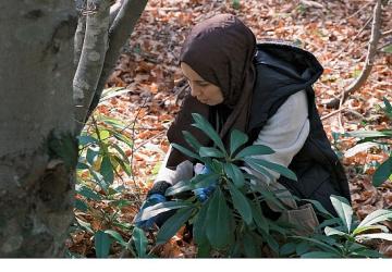 Kuzuyayla'da mantarların gizemli dünyası keşfedildi