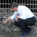 Başkan Tutdere: ‘Gürlevik’te son 15 yılın en büyük su bereketi yaşanıyor’ - Videolu Haber