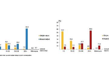Girişim Özelliklerine Göre Uluslararası Hizmet Ticareti İstatistikleri, 2024
