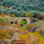 Sonbaharın Tüm Renkleri Bayındır'da Buluştu